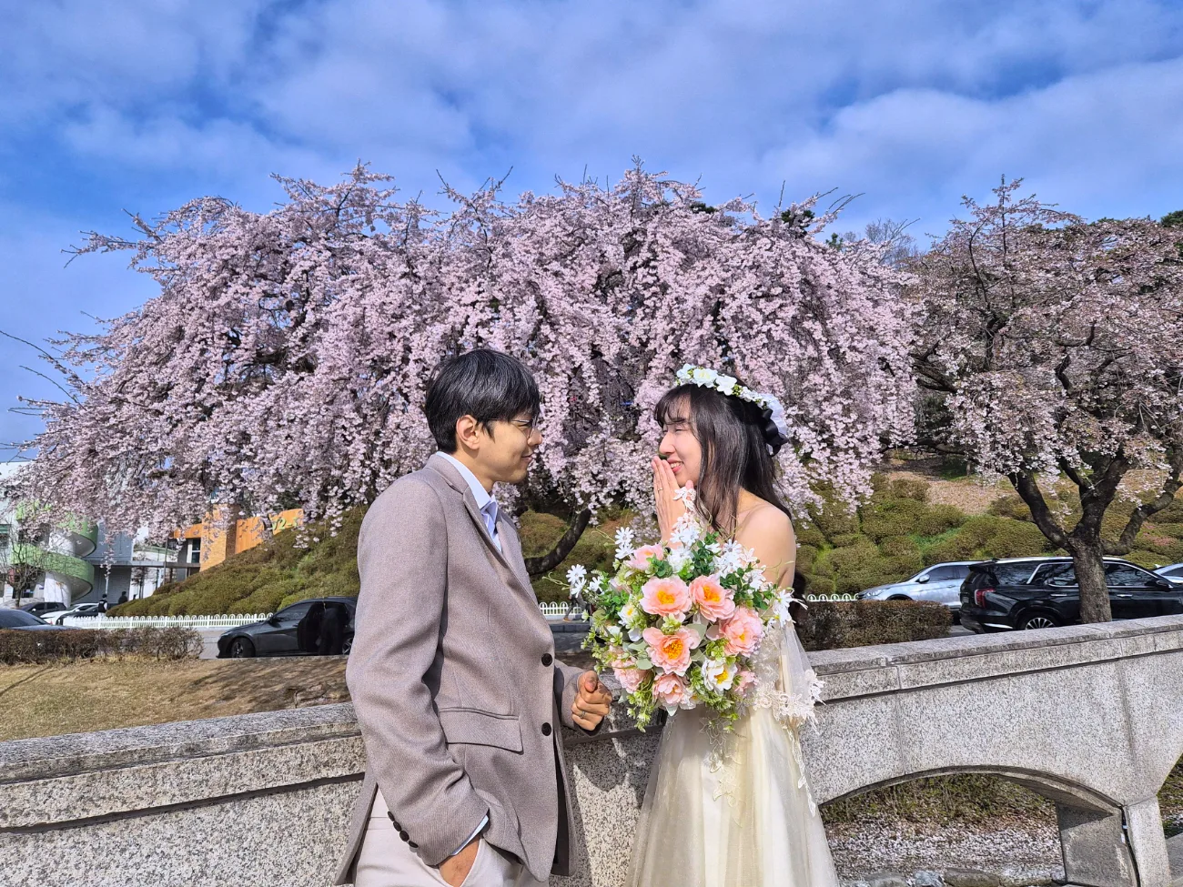 수양벚꽃 아래 마주보기